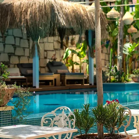 Tnr & 호텔 쿠사다시